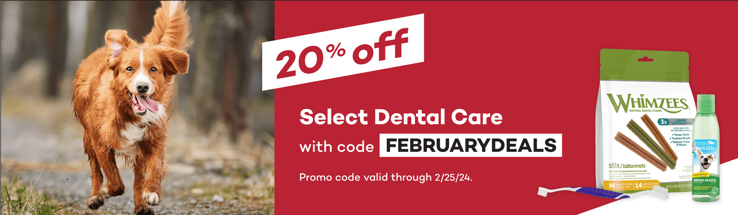 20% off Select Dental Care with code FEBRUARYDEALS. Promo code valid through 2/25/24