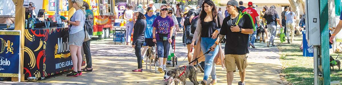 People and dogs walking down a crowded path at the Bay Area Pet Fair