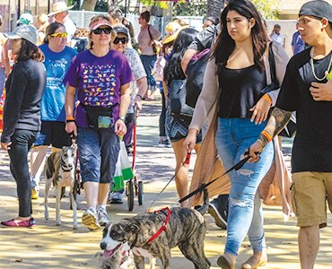 People and dogs walking down a crowded path at the Bay Area Pet Fair