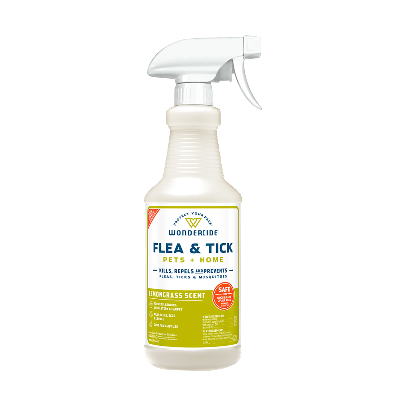 Dog Flea and Tick