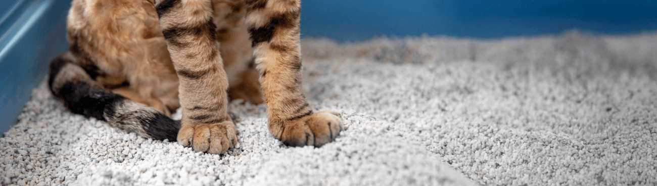 Assortment of FirstMate, Kasiks, and Skoki products