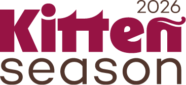 Kitten Season 2026 Icon