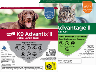 We offer same day delivery!