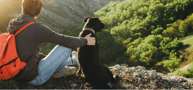 Dog sitting with their owner in nature