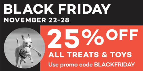 black friday dog