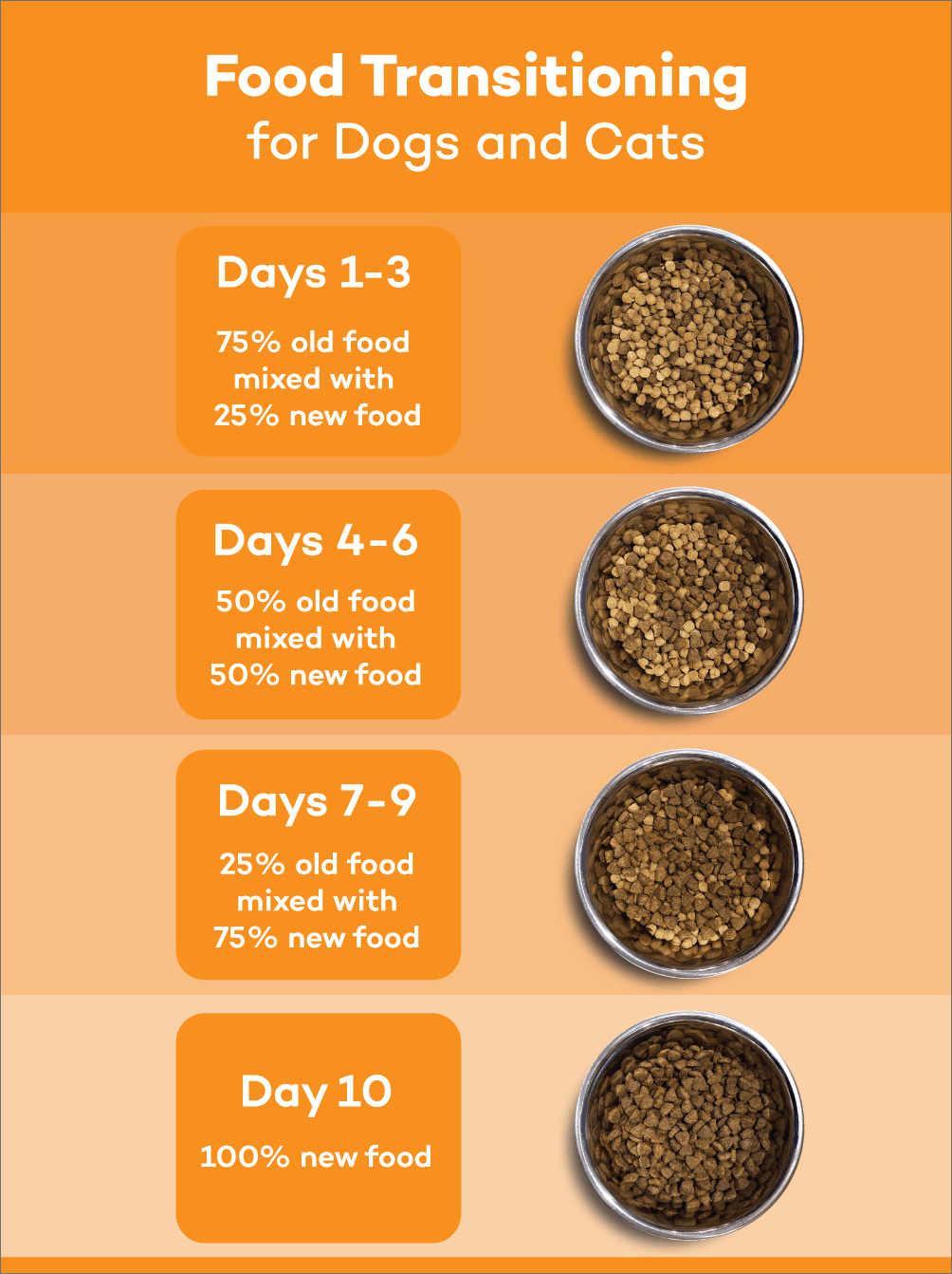 How Bad Is It To Frequently Switch Dog Food