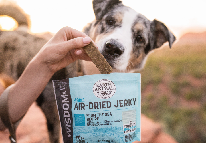 dog waiting for earth animal milk bone treat.