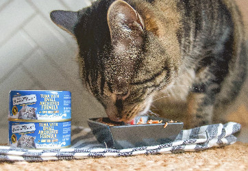 cat eating fussie cat meal