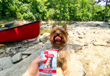 dog sitting near canoe with weruva dog food