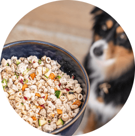 Vital Essentials Freeze-Dried Minnows – T&T Pet Food and Supply