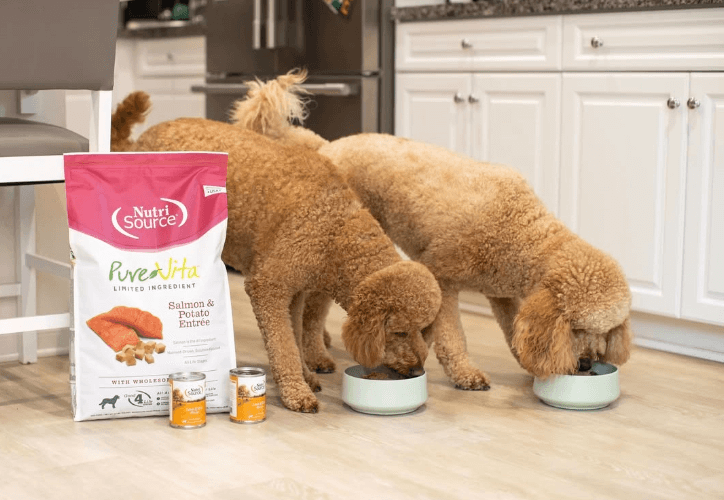 dog with assortment open farm of dog food