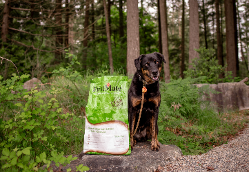 dog sitting next to first mate dog food
