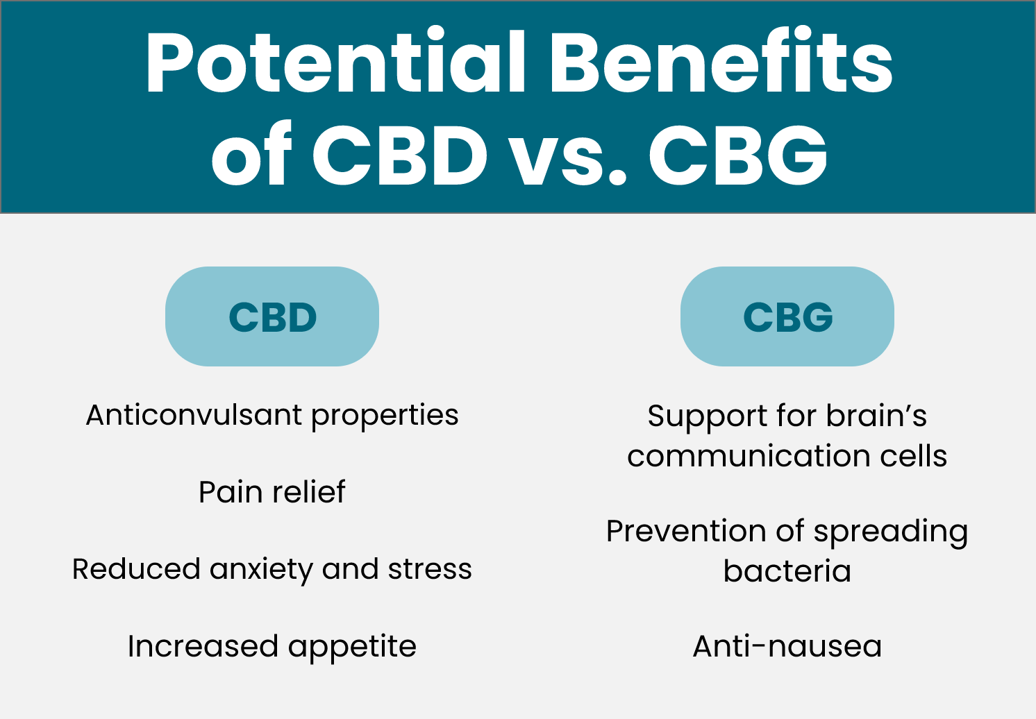 Understanding CBD and CBG for Your Anxious Dog or Cat