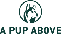 A Pup Above