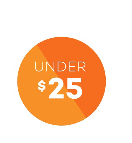 under $25 icon