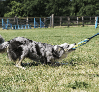 A variety of canned foods among an arrangement of Autumn leaves