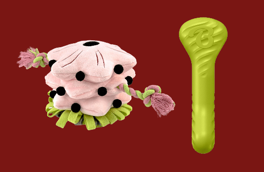 Dog eating treats form a bowl