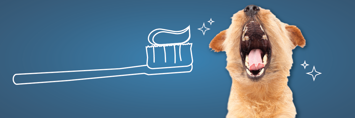 tan dog with mouth open and line image of toothbrush with toothpaste