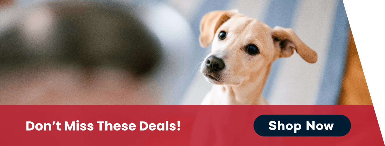 Don't miss these deals at PetFoodExpress!