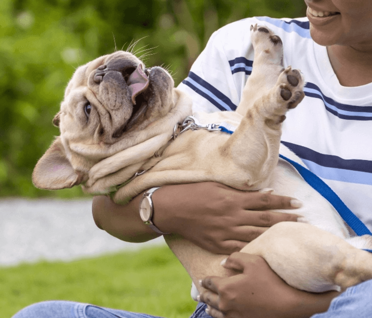 woman holding bulldog like baby
