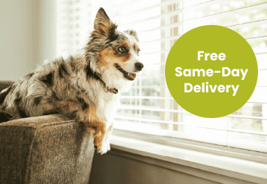 Dog climbing over a chair with text 'Free Same-Day Delivery'