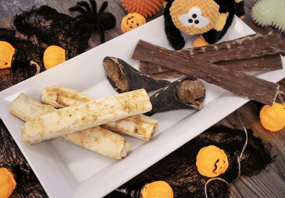 Trick or Treat Trader™: Dog Treat Recipes, Games, and Ideas