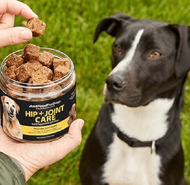 Point of view shot of owner offering JustFoodForDogs supplements to sitting dog
