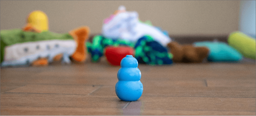 A Dog's Guide to Buying Toys