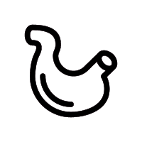 Icon of a stomach