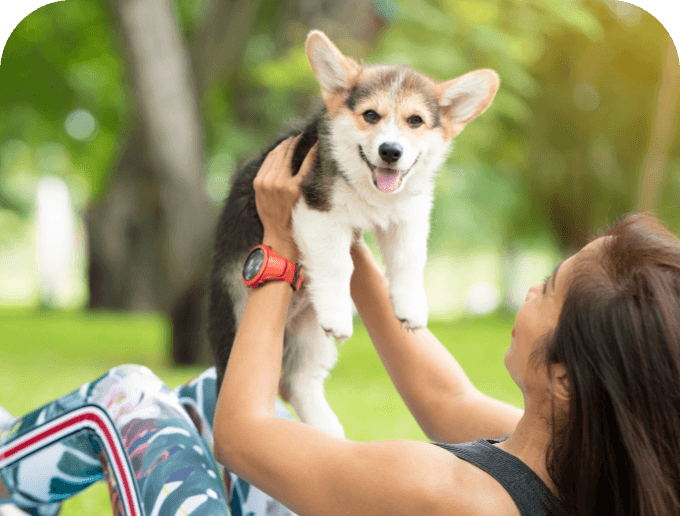 Woman holds up a corgi