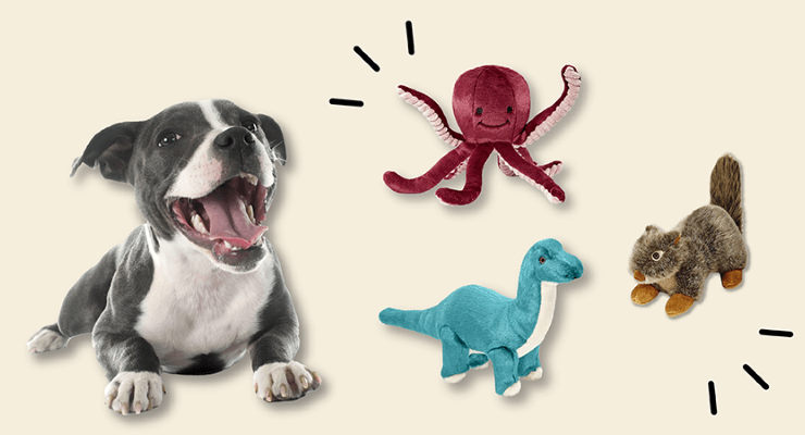 dog with fluff n tuff toys