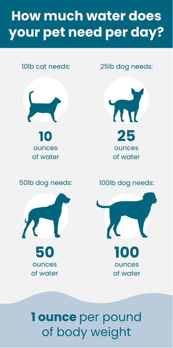 https://cdn11.bigcommerce.com/s-iakwzr7rs7/product_images/uploaded_images/how-much-water-does-your-pet-need-per-day-m.png