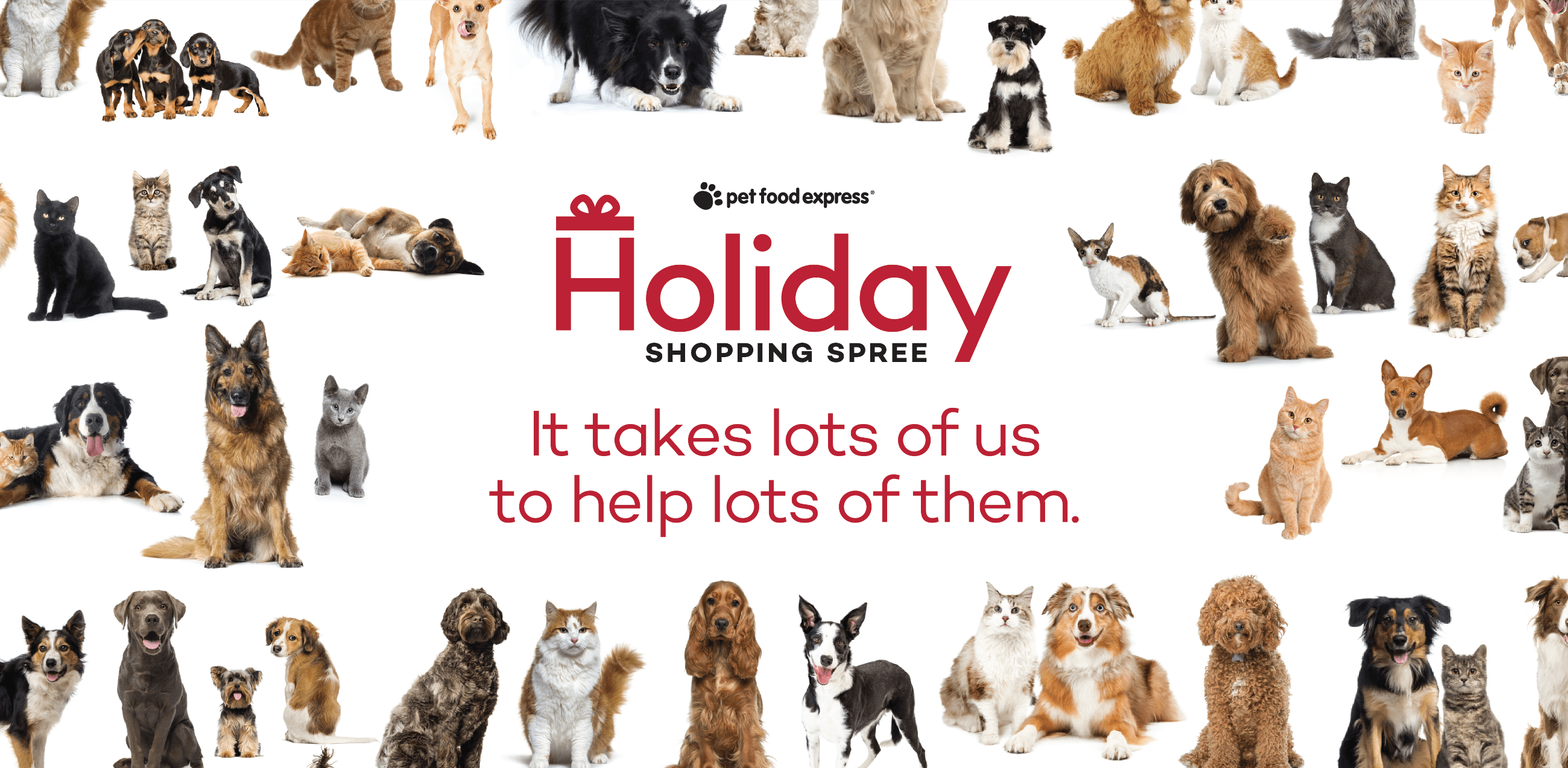 Pet Food Express Holiday Shopping Spree: It takes lots of us to help lots of them.