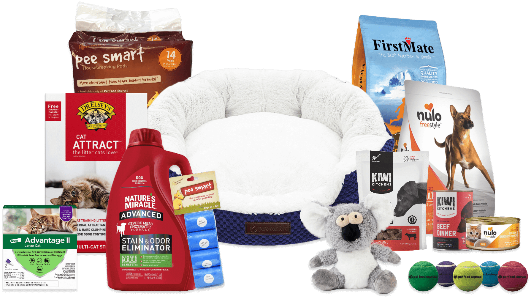 An assortment of pet products