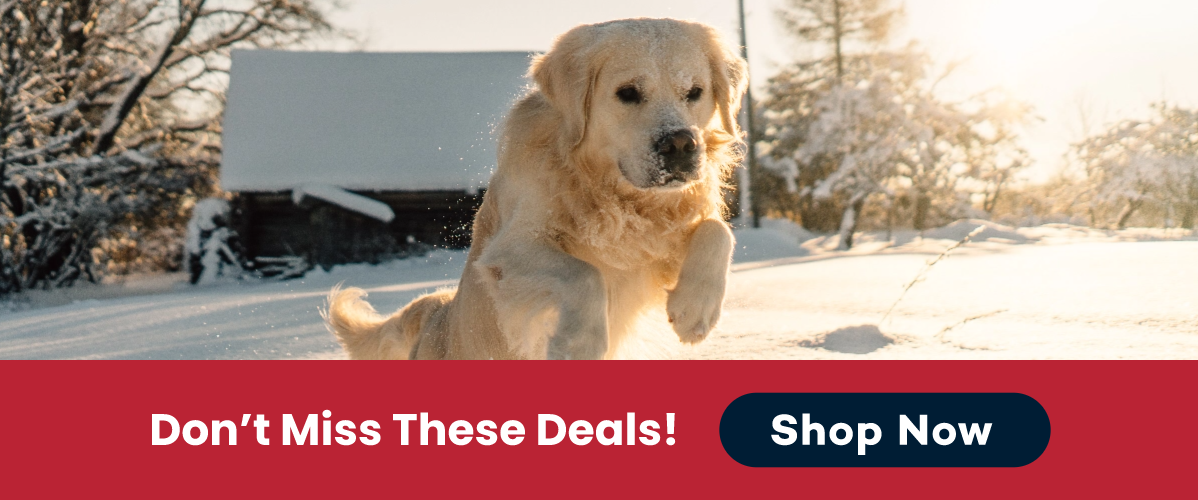 Don't miss these deals at PetFoodExpress!
