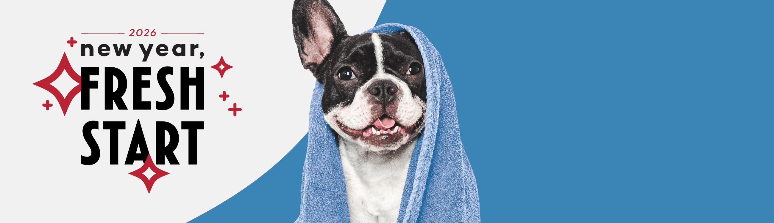Dog relaxing in an pet wash station with a towel