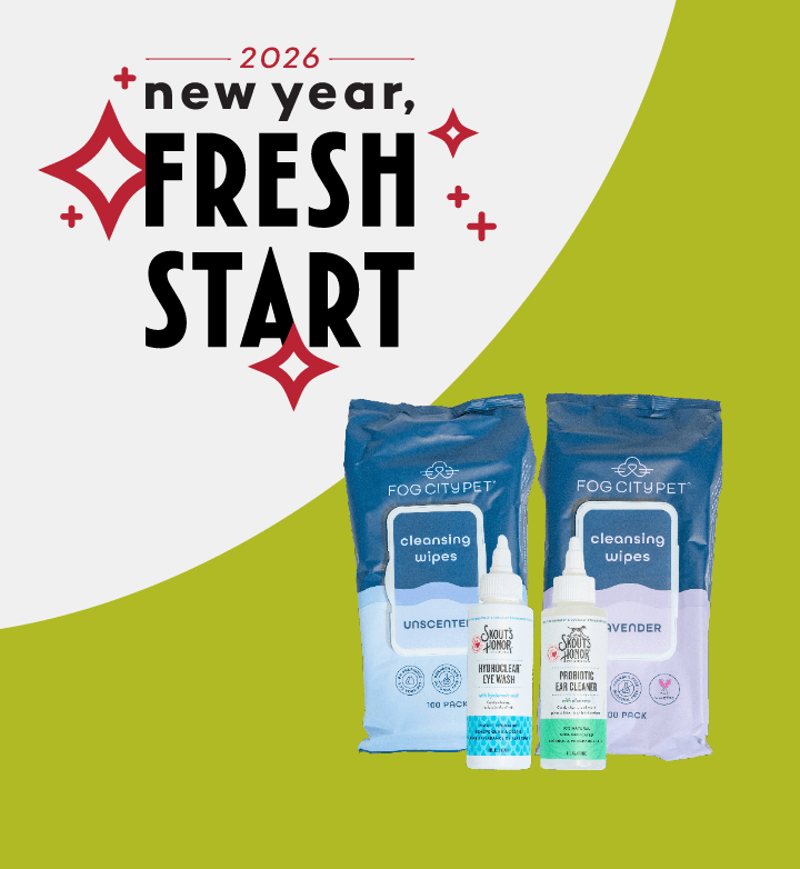 Assortment of Fog City grooming supplies