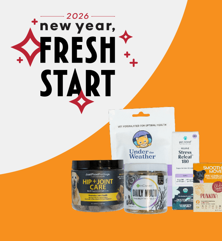 Assortment of pet health supplies.