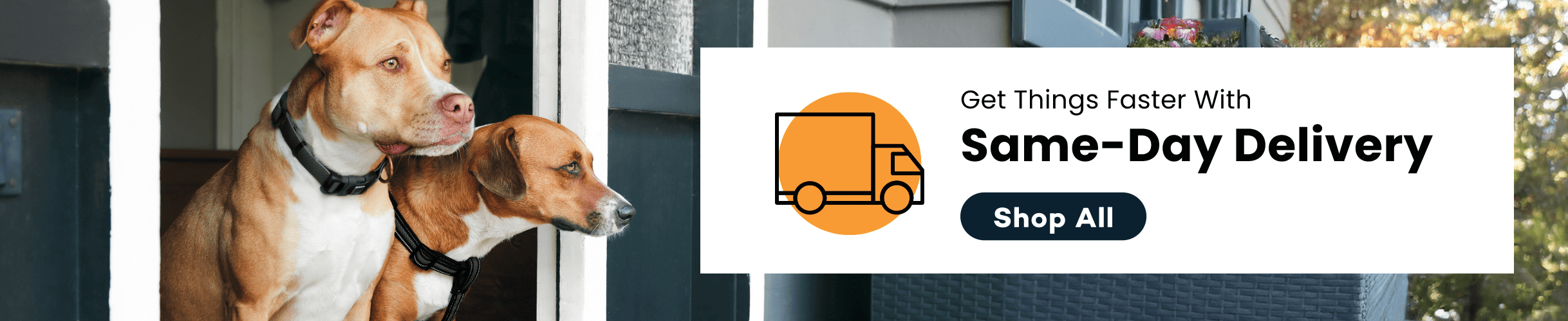 We offer same day delivery!