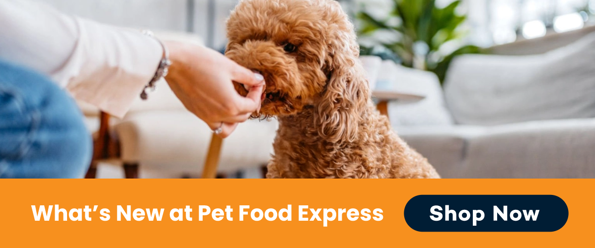 See what's new at PetFoodExpress!