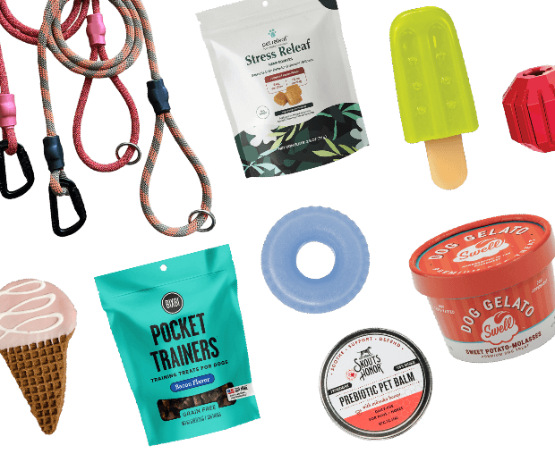 Assortment of summer items.
