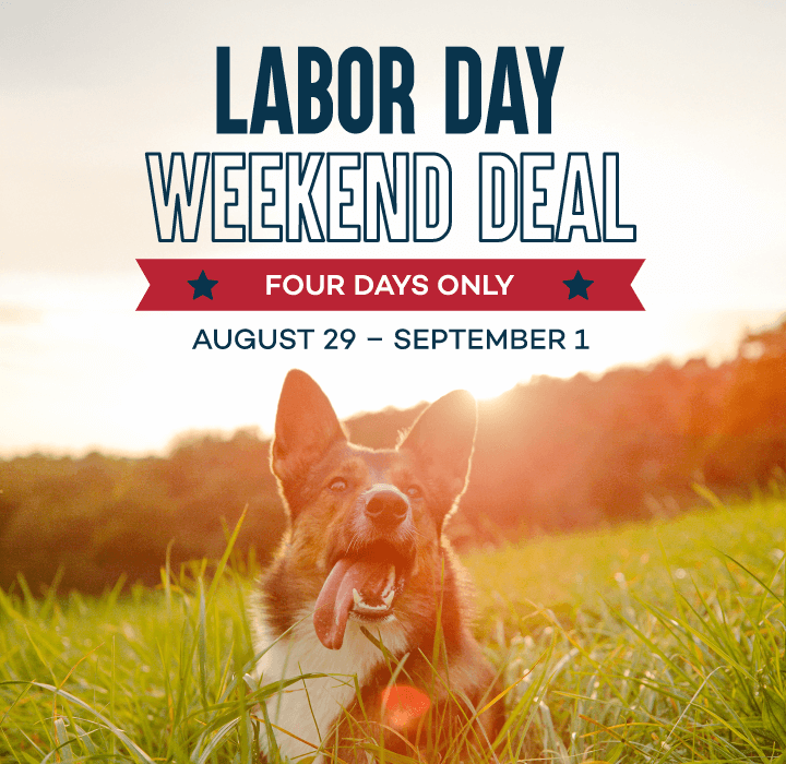 Labor Day Weekend Deal; Four Days Only; August 29 - September 1