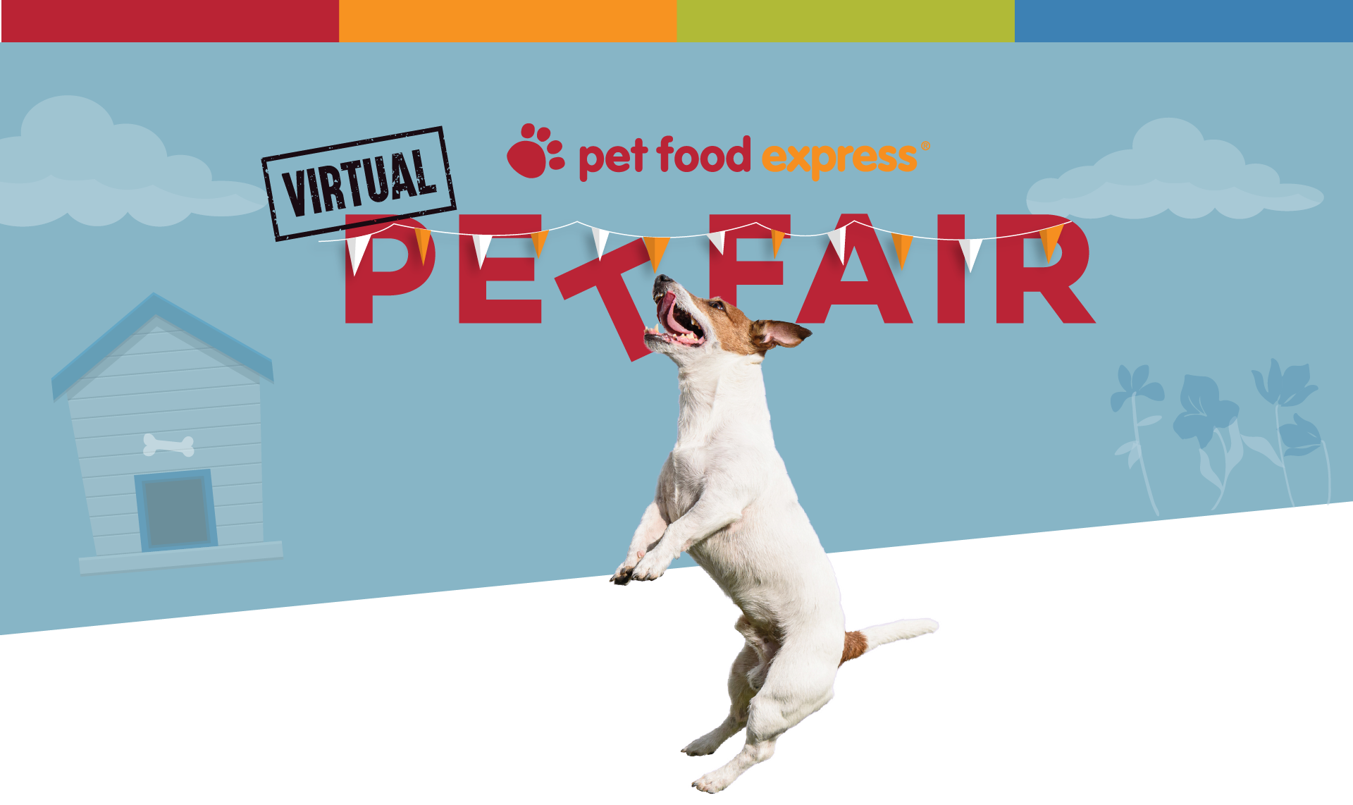 pet fairs near me