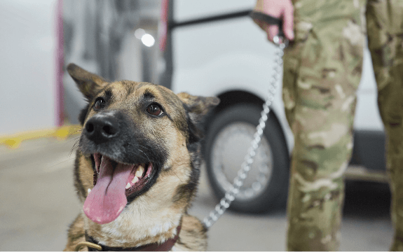 Tony La Russa and ARF Donors Launch Pets for Veterans Building in Walnut  Creek. –