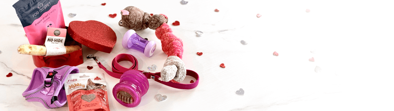 An Valentine's themed assortment of pet products