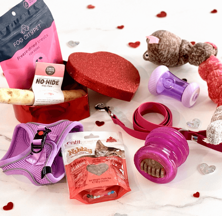 An Valentine's themed assortment of pet products