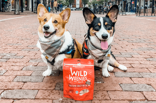 Two corgis posing with Stella & Chewy's Wild Weenies treats