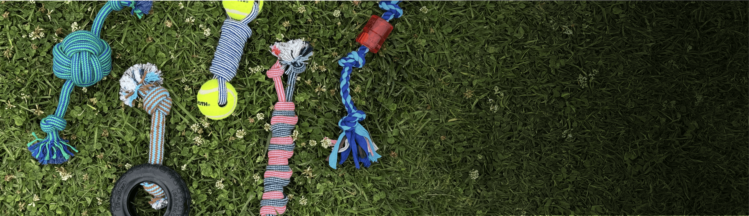 An assortment of Mammoth tug toys laid out on grass