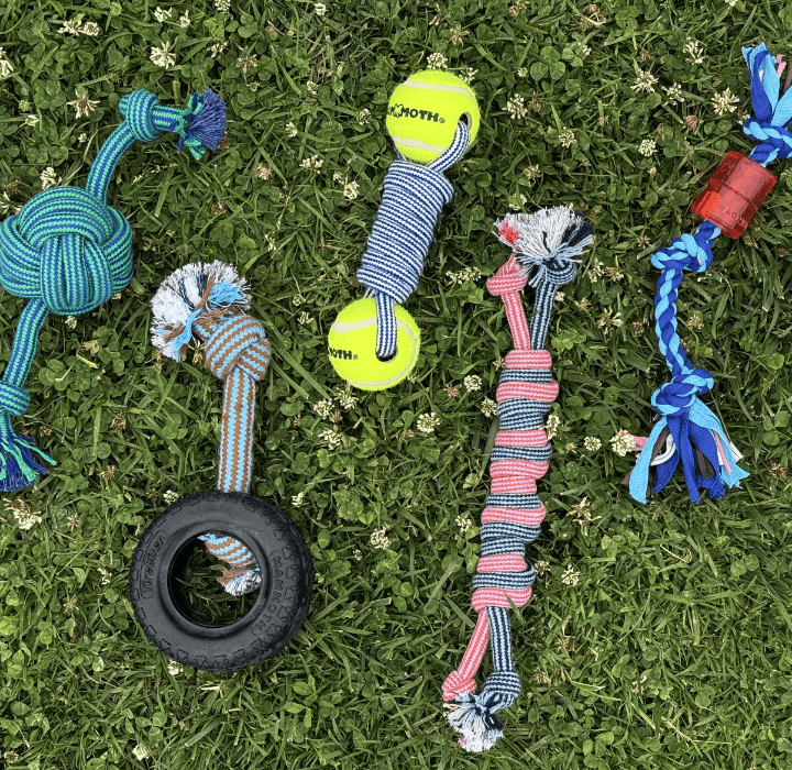 An assortment of Mammoth tug toys laid out on grass