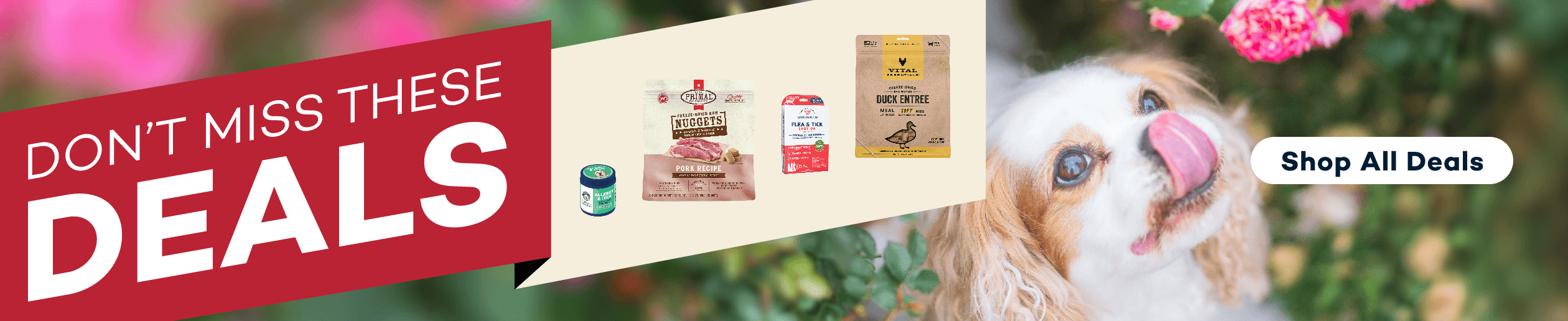 Don't miss these deals! Shop now